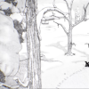 黑白手绘风格冒险游戏《白之旅》发布上市宣传片 明日发行