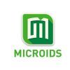 Microids与法国新工作室合作 发行新策略RPG