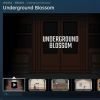 绣湖新作《Underground Blossom》Steam页面上线 2023年发售