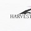 SE种田《Harvestella》海滨小镇夏多拉角色与系统介绍