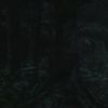 《心灵杀手2》全新概念艺术图：黑夜中的森林阴森恐怖
