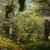 《狂野之心》新CG预告公开 驯服变得狂野的世界！