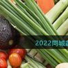 2022同城蔬菜配送app平台排行榜